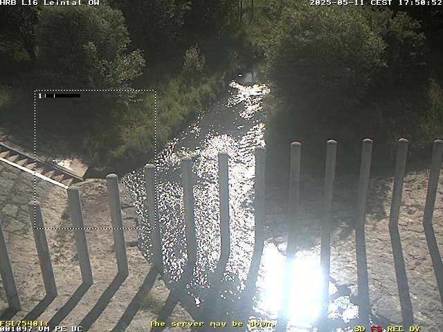 Camera Live Image