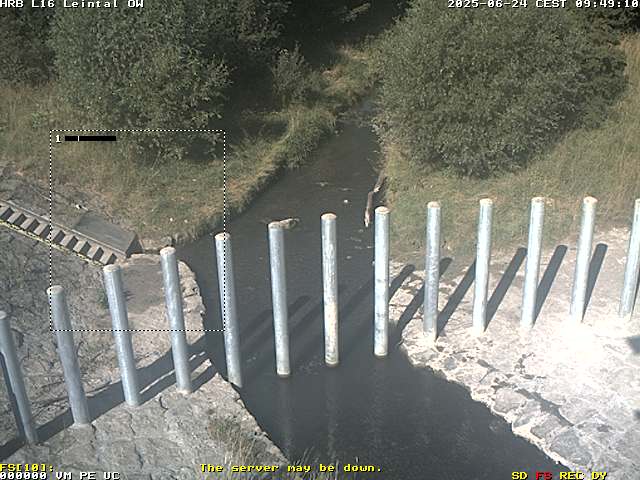 Camera Live Image